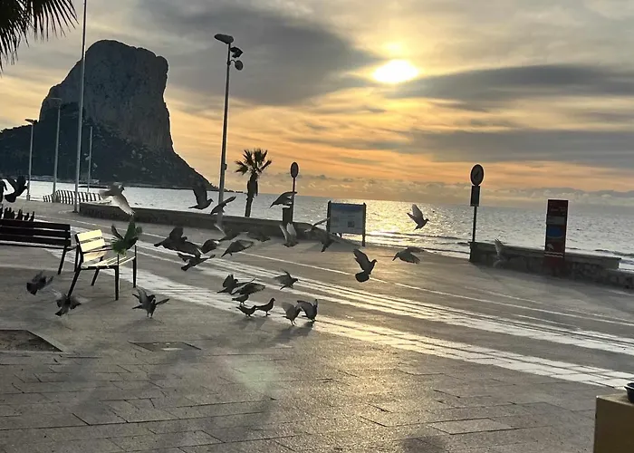 25d Voramar 2 קלפה